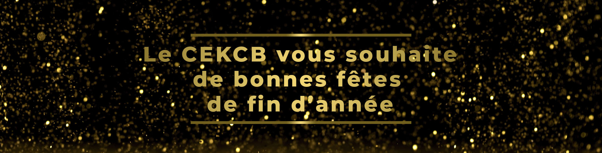 Bonnes fêtes de fin d'année . Le CEKCB fait une pause et   vous retrouve le 3 janvier 2025 !